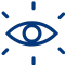 Vision Icon